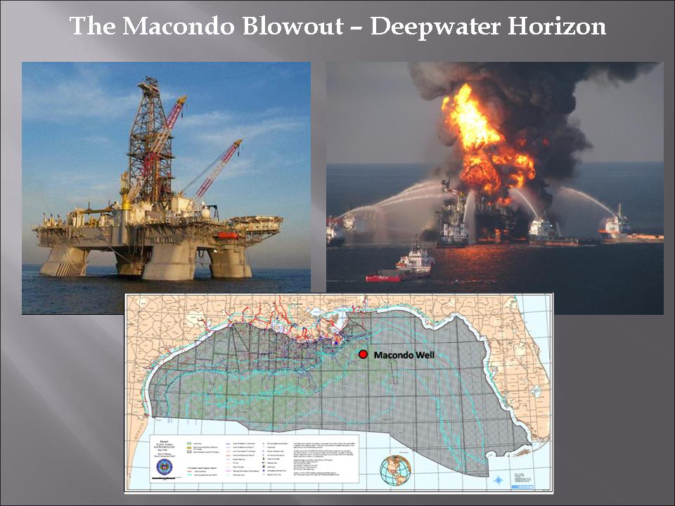 bp macondo case study